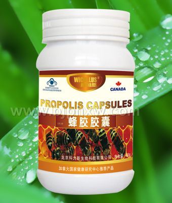 ���zܛ�z�� ��ʳ���֡������N����Ʒ����