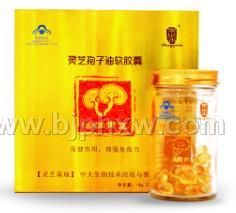 �`֥������ܛ�z�ҡ������N����Ʒ����