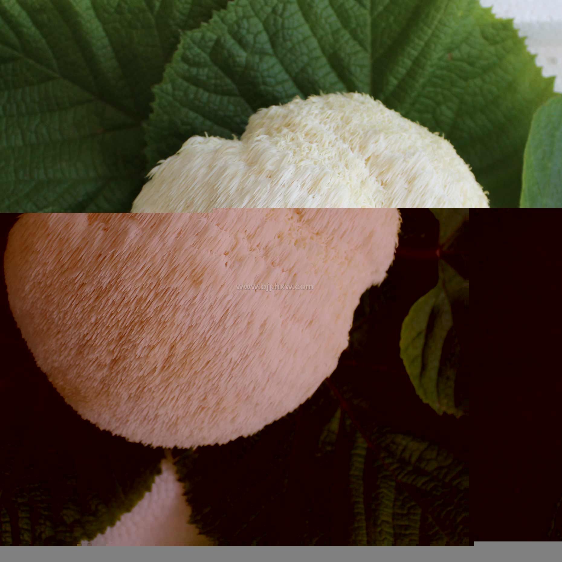 �S�ҹ����|�����^���������N����Ʒ����