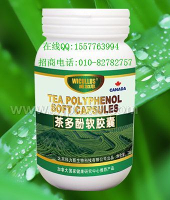 國(guó)家支持項(xiàng)目茶多酚軟膠囊