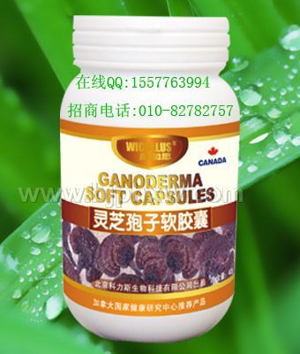 國(guó)家支持項(xiàng)目靈芝孢子粉膠囊