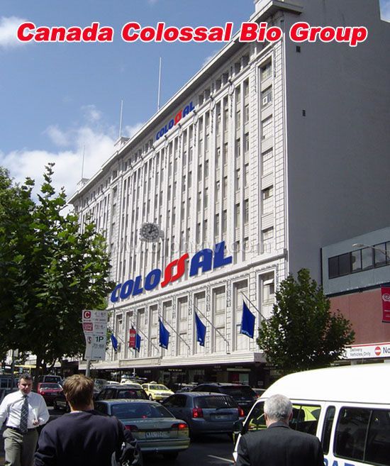 21世紀會銷精品—心腦肽蒜氨酸口服液（國內(nèi)獨家產(chǎn)品）