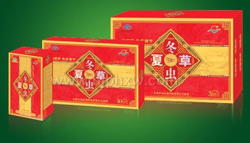 冬蟲夏草口服液