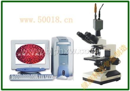 2010新款一滴血檢測儀