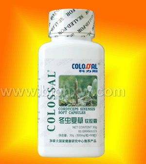 冬蟲夏草軟膠囊