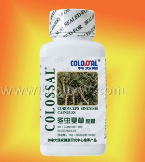 冬蟲夏草軟膠囊
