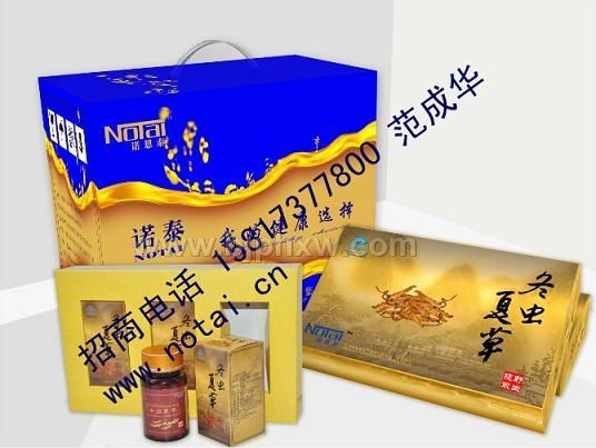 冬蟲夏草膠囊補(bǔ)腎精品