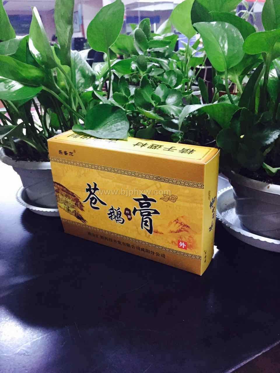 蒼鵝鼻炎膏 祖?zhèn)髅胤?一次見(jiàn)效