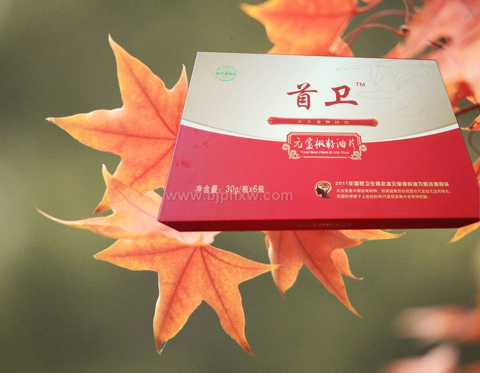 首衛(wèi) 元寶楓神經(jīng)酸 改善記憶 6瓶裝