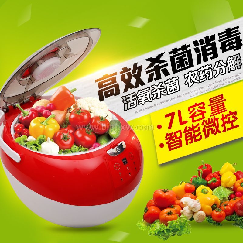 銳智RZ-06A-1果蔬寶凈化儀