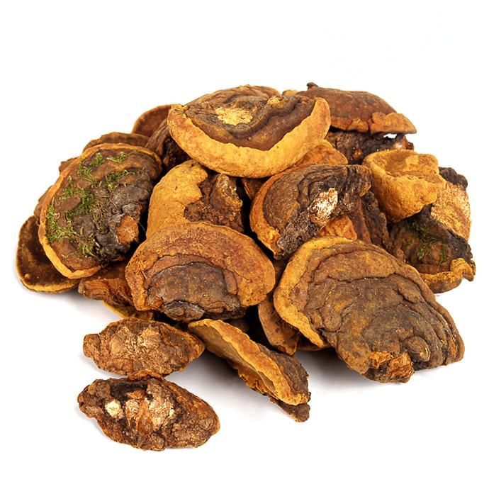 桑黃，又名桑耳、桑臣、桑寄生、桑黃菇、猢猻眼和針層孔菌等