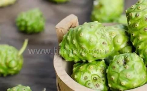 薩摩亞進(jìn)口供應(yīng)純正野生諾麗果酵素原液