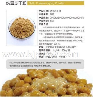 納豆凍干粉招商