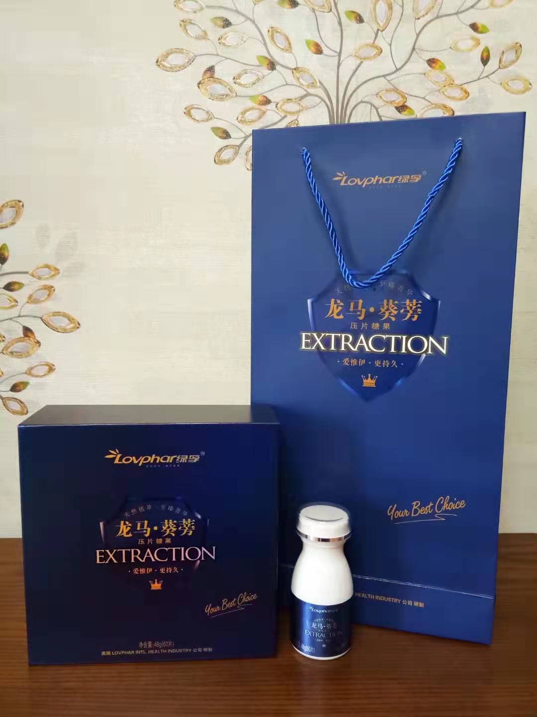 青島綠孚 龍馬.葵蒡