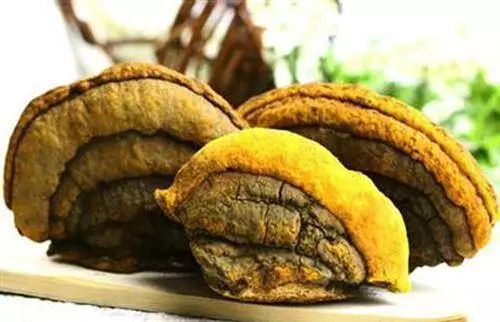 通化漢方生物醫(yī)藥有限公司