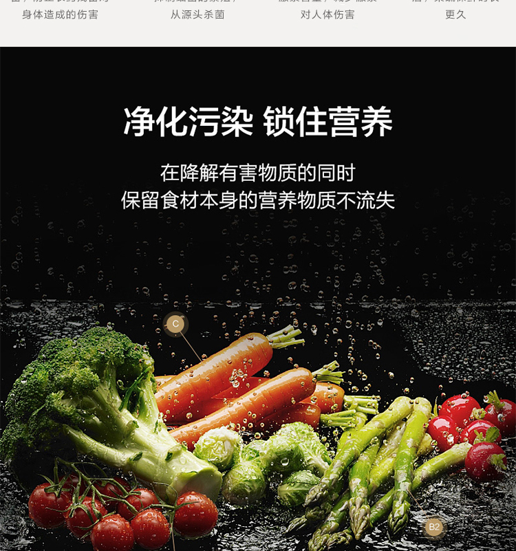 分離式凈食機生產(chǎn)廠家分離式食品凈化器批發(fā)廠家