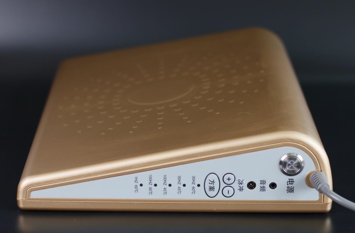 遠(yuǎn)紅外磁電脈沖治療儀(SX-D2)