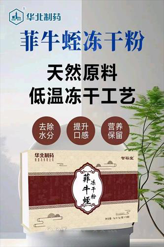 華北制藥菲牛蛭凍干粉