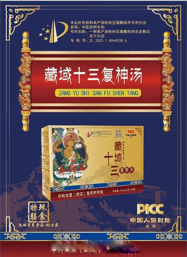藏域十三復(fù)神湯