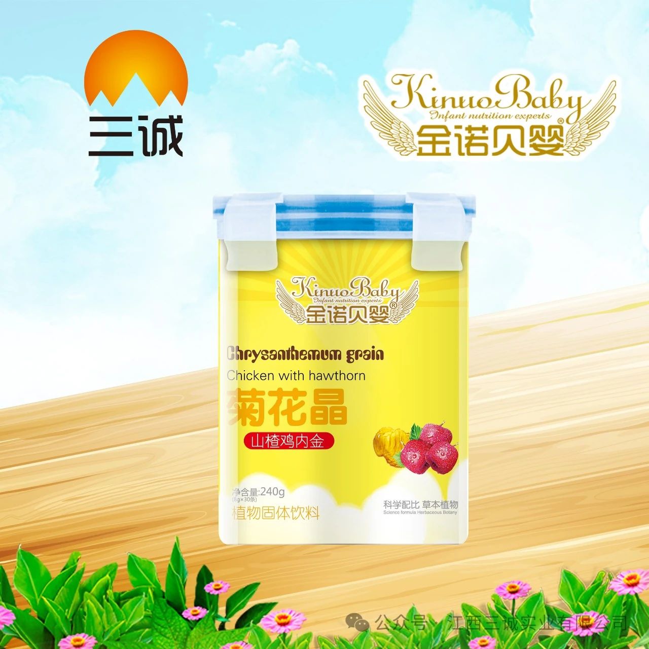 菊花晶 山楂雞內(nèi)金